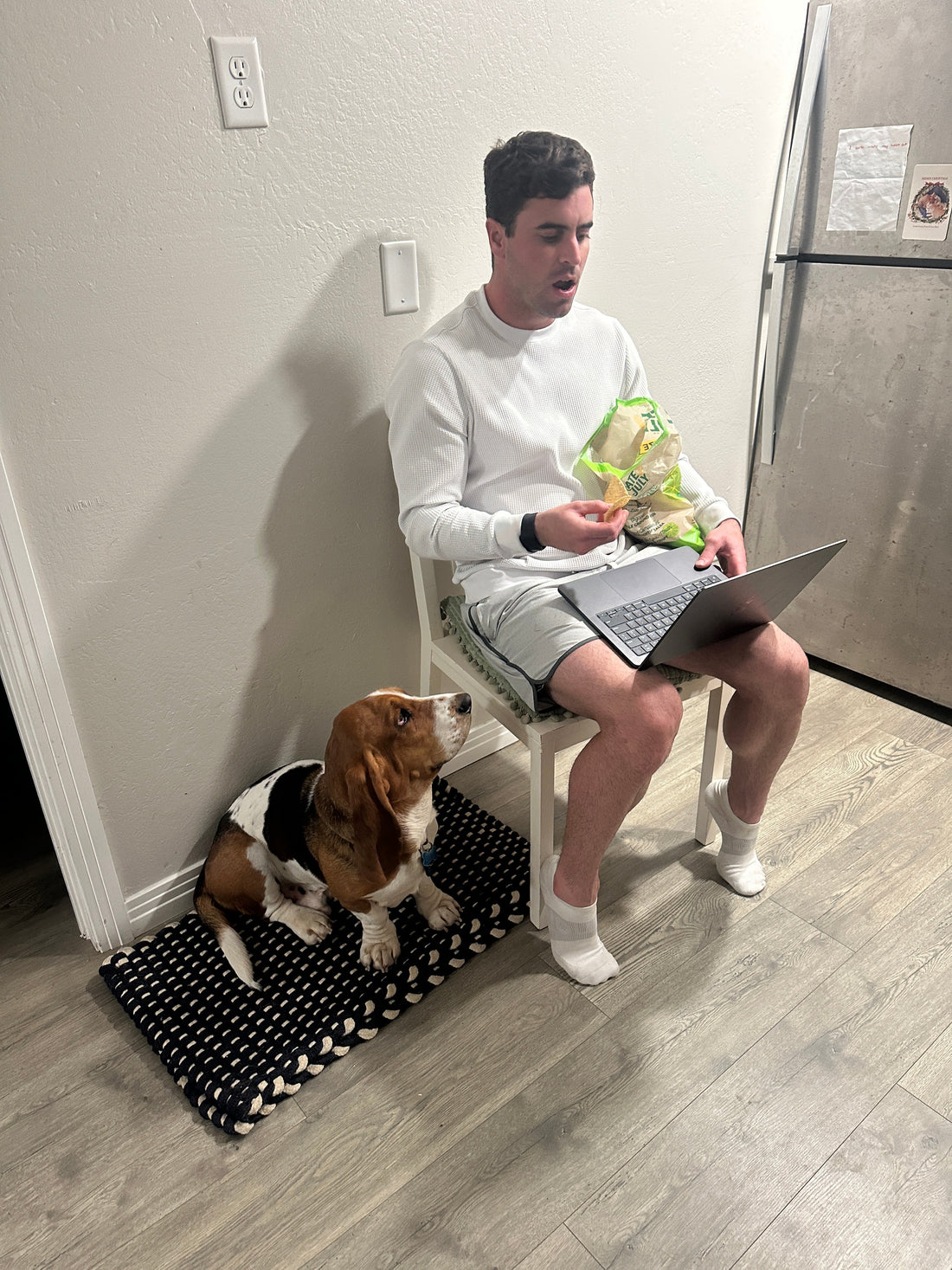 Trying to Explain Tax Strategy to Otis