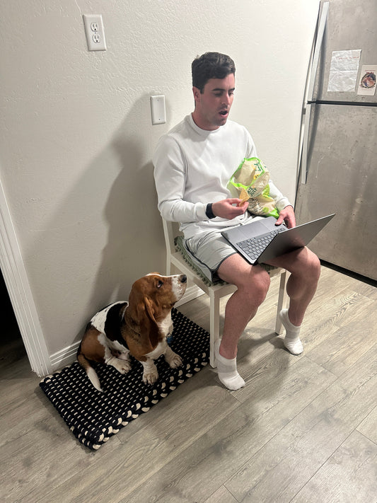 Trying to Explain Tax Strategy to Otis