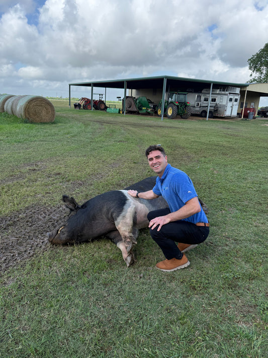A 400lb Pig Named Charlie