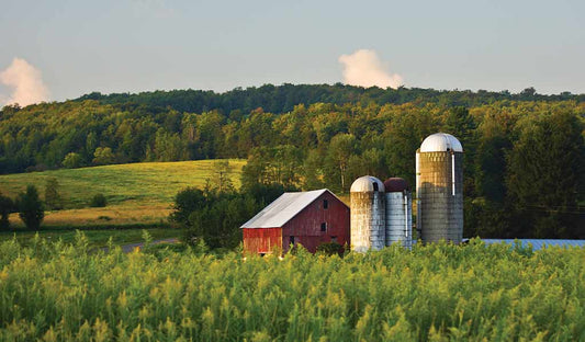 Diversifying a $20M Farmland Portfolio