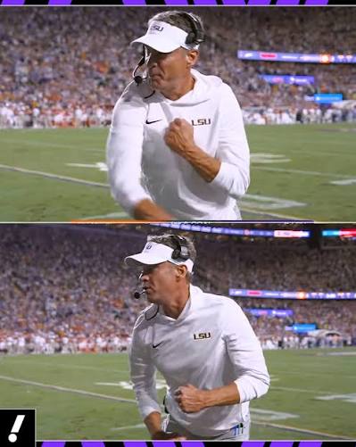 Lane Kiffin's Reaction to Tax Alpha
